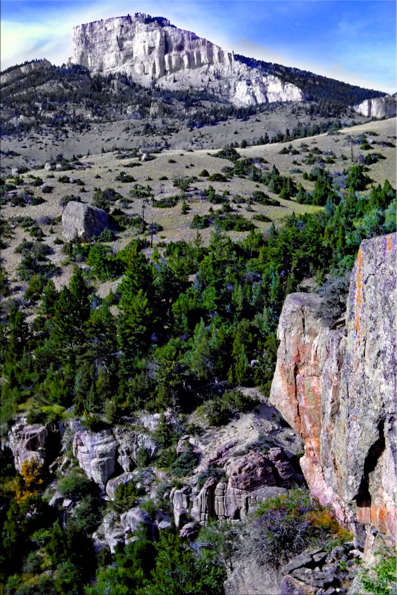 Barron Beaux Arts and Raindrops Blue Sox 🎵🌈🍒 on Twitter ""Copman's