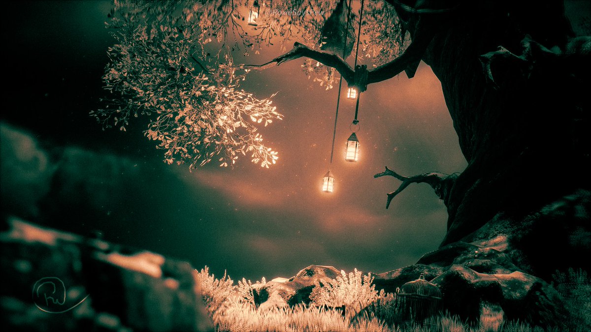 The birds nest whisper something untold,
As we absorb the wisdom they hold.
Our mind, like the tree, branches out far and wide,
With each page turned, we take stride

♥️📸♥️

#HogwartsLegacy #VirtualPhotography #VGPUnite #ArtisticofSociety #ThePhotoMode #Photography #HarryPotter