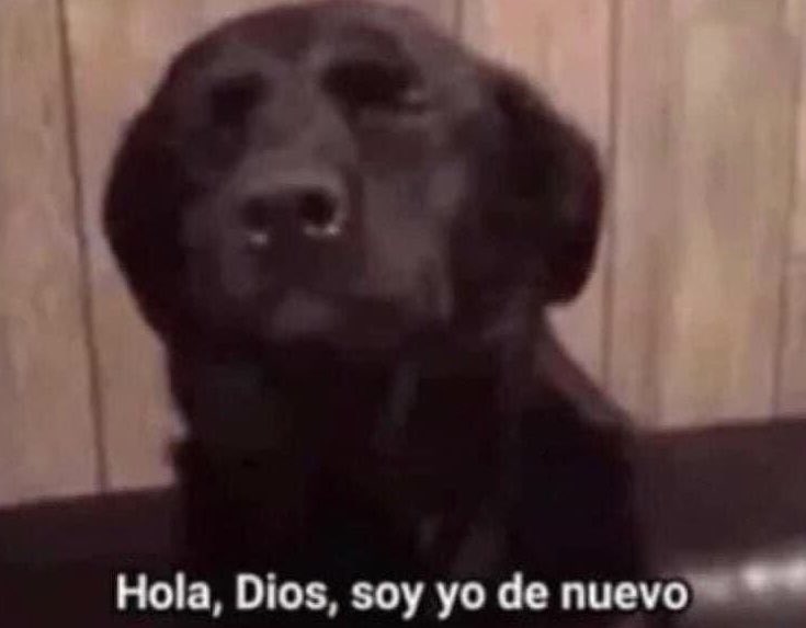 soyelgordomudo's tweet photo. ARÉVALO VA PRIMERO 🌱 (PreliminarmenteEE) https://t.co/F5hjXXEcga