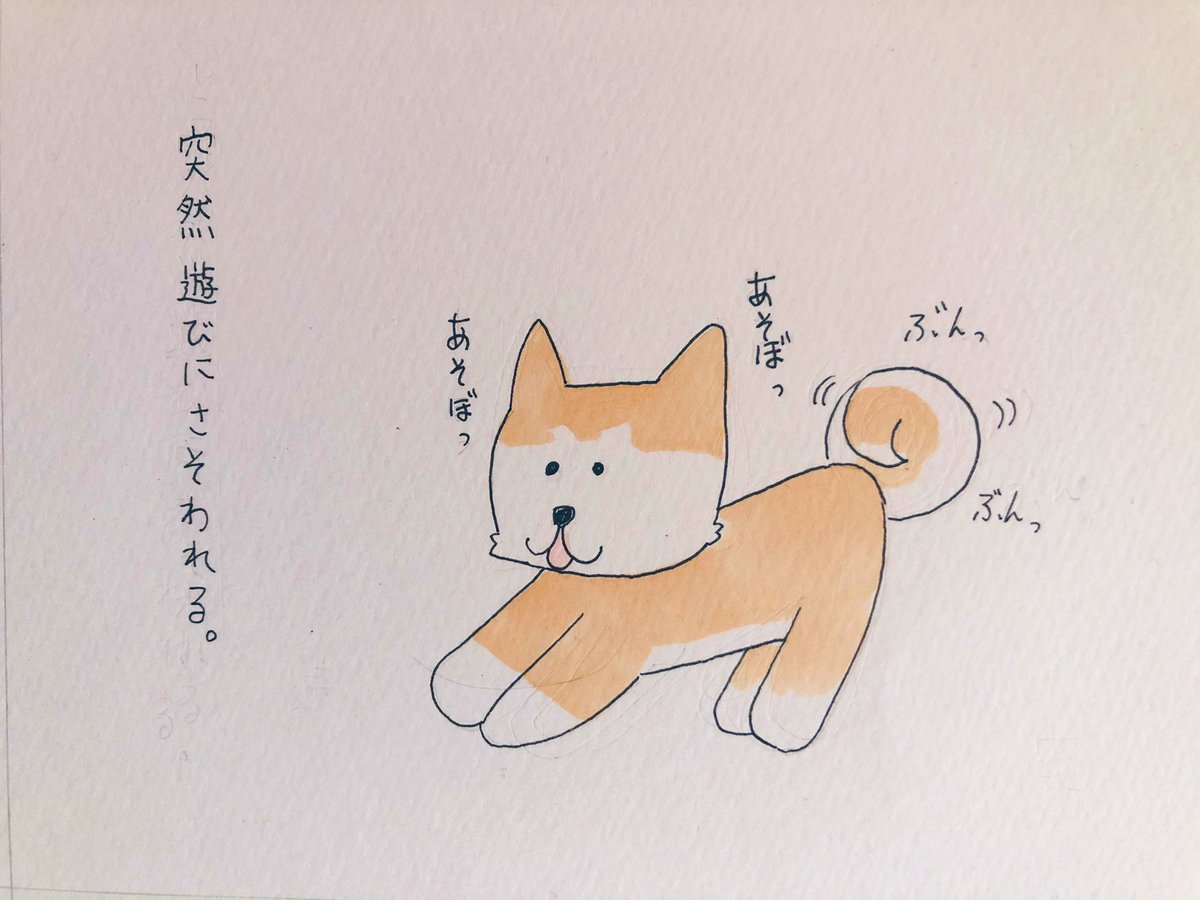 秋田犬あるある33
#秋田犬　#あきたいぬ
#オリジナルイラスト　　#イラスト 
 #絵描きさんと繋がりたい  #みんなで楽しむTwitter展覧会
#絵描きさんと繋がりたい
#イラスト好きさんと繋がりたい
#アナログ絵  #絵