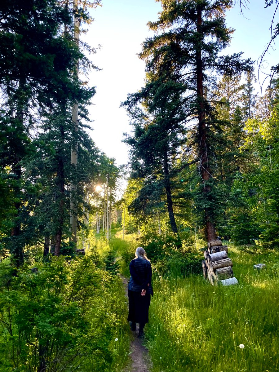 If you haven't discovered the beauty of solitude, please do.