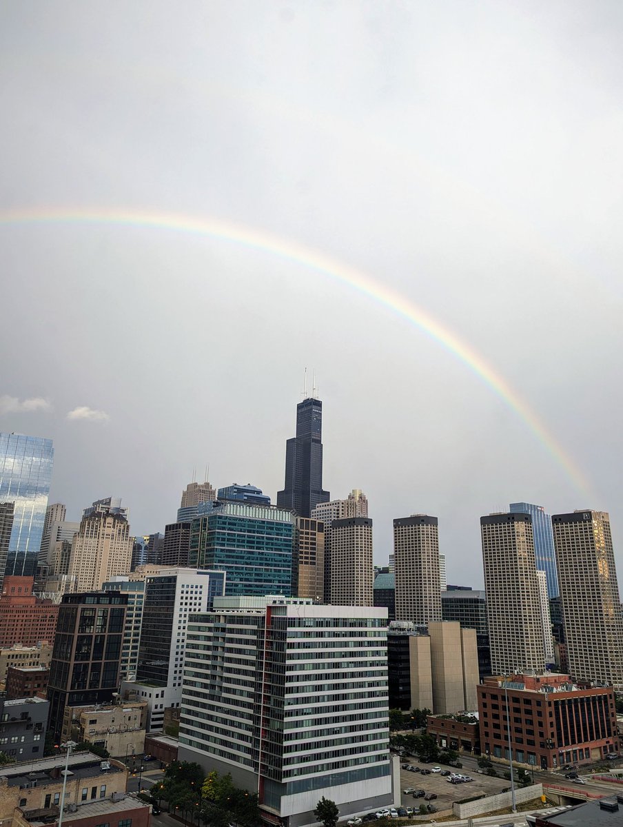 Mar©️ Plotkin tweet media