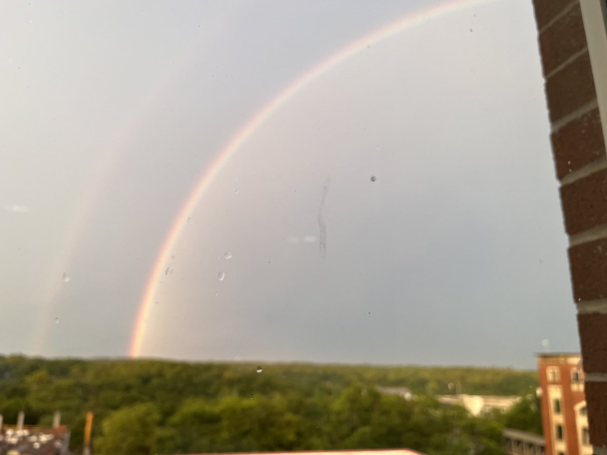 VogtVirusLab's tweet photo. #ASV2023 delivers with a full double rainbow. I’m naming the next virus I discover (so the first one) after this. https://t.co/fdInxQN2dQ