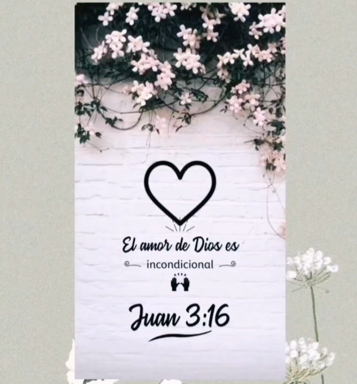 Amén buenas tardes🙏❤️✨