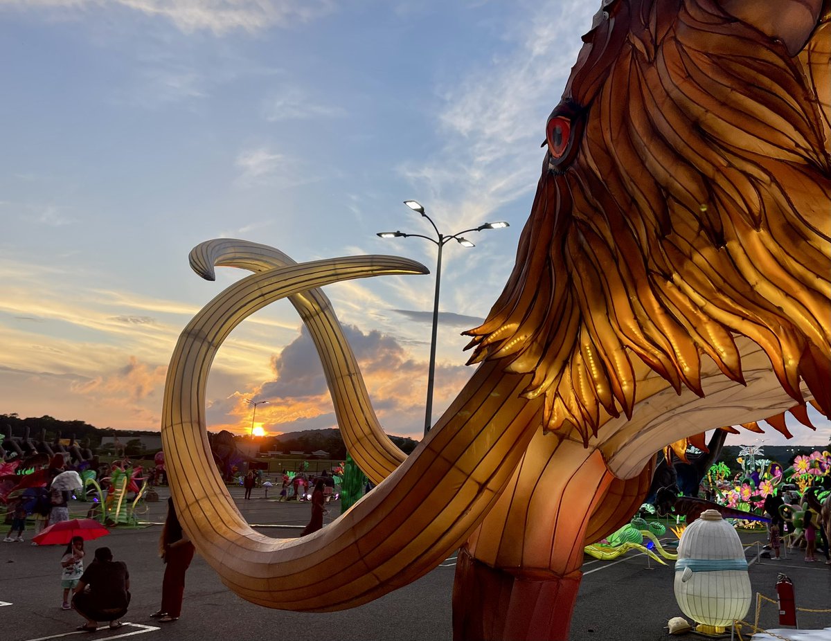 LuminocityFest's tweet photo. Sundown, lights up @ShopRockaway and the spectacular #DinoSafari Festival. #Luminocity #ShopRockaway https://t.co/dgJuYfju2X