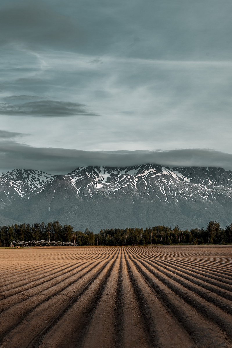 Cherith Brook tweet media