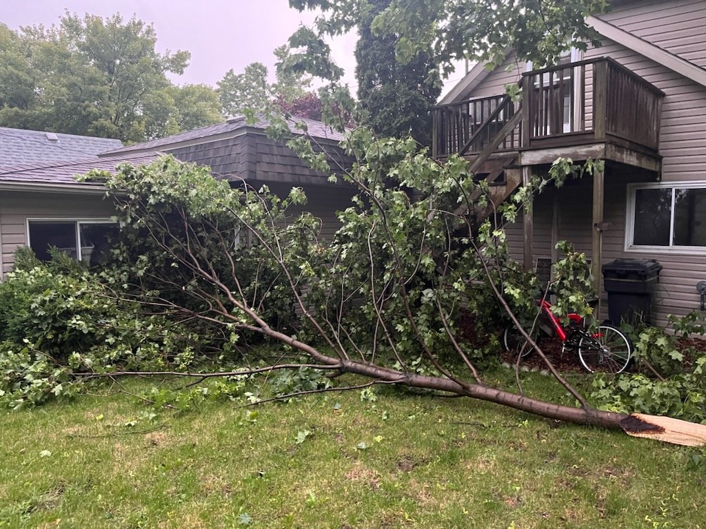 Tree down from that nasty storm that just came through Chatham in my Dad's backyard @IWeatherON 
#ckont #onstorm