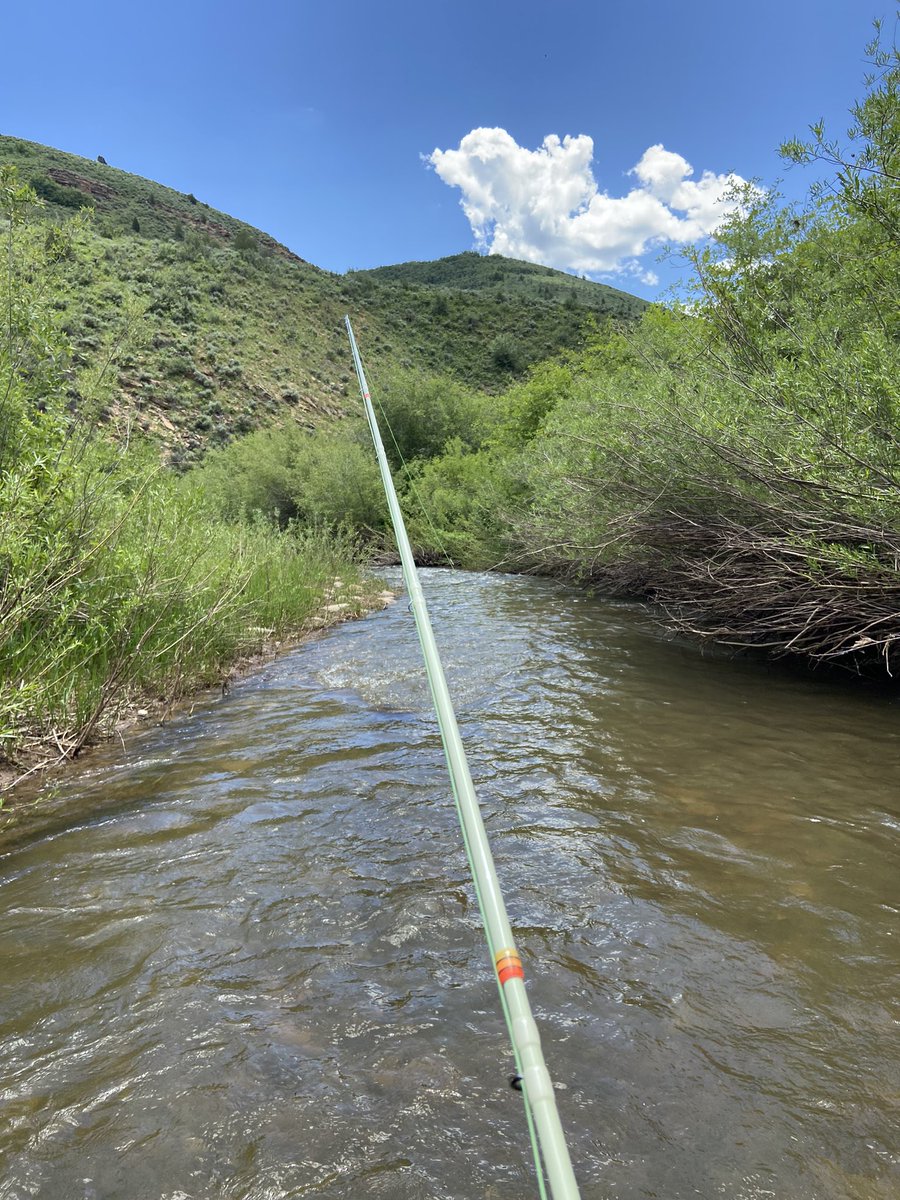 Small stream fishing at its best. Pulled some beauties out of this little gem 😍Love the diversity of Utah waters. #solitide #serenity #NoCrowds #ButterStick