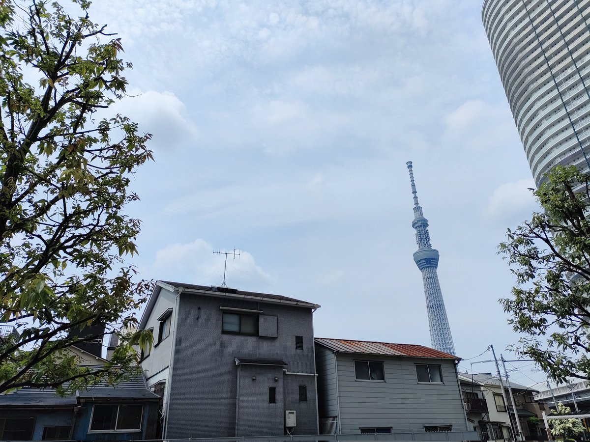 おはようございます！現在の墨田区は曇り☁気温は27.2℃
ムシムシとした暑さですが、今日も一日頑張りましょう！
本日は10:00~17:00で営業しております☕
#東京 #墨田区 #イマソラ 
#企業公式が毎朝地元の天気を言いあう 
#がんばろう企業公式
