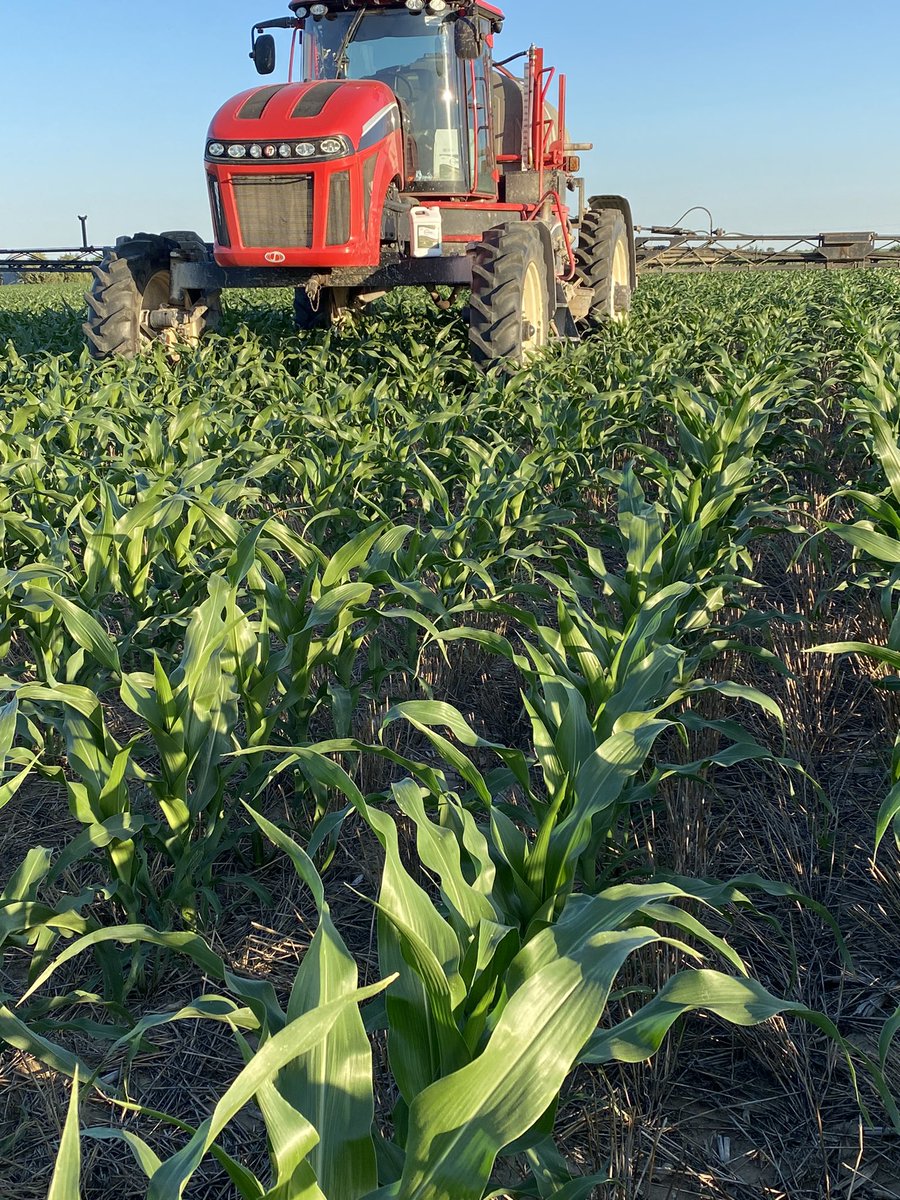 Tarramar trial going down tonight on some BEAUTIFUL <a href="/Asgrow_DEKALB/">DEKALB Asgrow Seed</a> DKC65-95 in Rooks county Ks. <a href="/DKAS_CO_WKS/">Asgrow/DEKALB CO & W. KS</a> <a href="/growloveland/">Loveland Products</a>