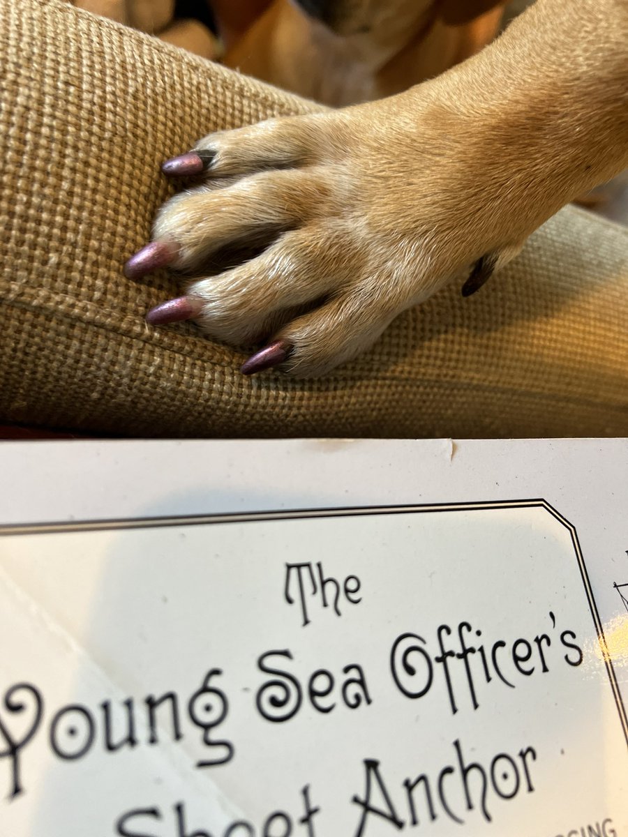 My husband was painting our daughter’s nails and the dog walked over and presented a paw