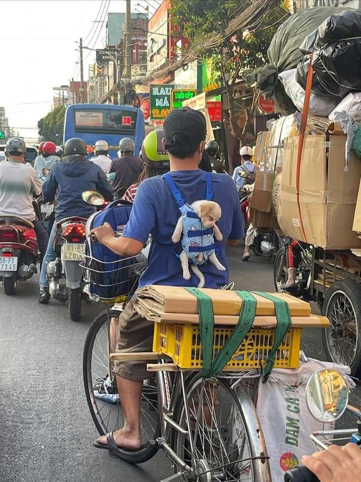 💖 (@twaniimals) on Twitter photo 