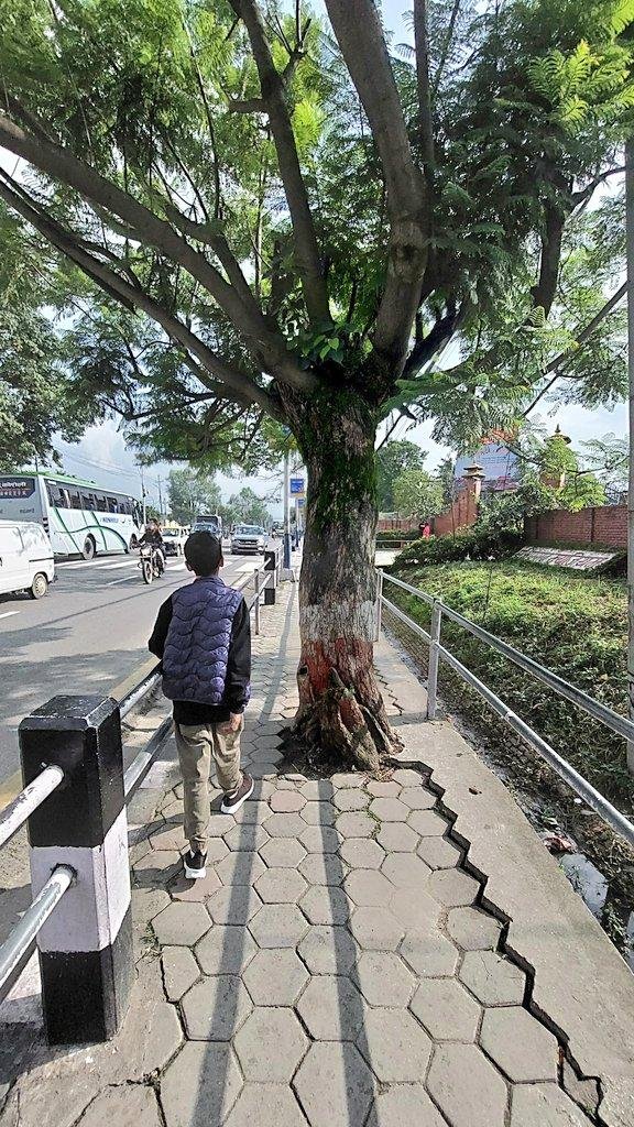DhakalSaurav's tweet image. रुख नि छ ।
फुटपाथ नि छ ।
पारी साइकल लेन नि छ । 
सडक बिस्तार पछि  फुटपाथमा हिडने बढेका छन कि घटेका छन ? हेर्ने बुझ्ने अध्ययन गर्ने नेता वा सरकारि निकाए को छ ?
सिनामंगल - तिनकुने ! #Kathmandu #mobilitychallenge