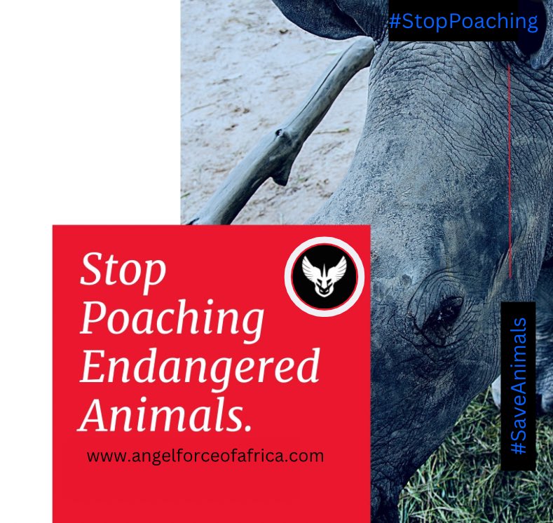 #Poaching has threatened #wildlife #conservation in Africa for a very long time, this has affected wildlife conservation globally and specifically in Africa as the bushmeat trade is severely impacting wildlife populations. #AFOA 

#StopPoaching #SaveAnimals