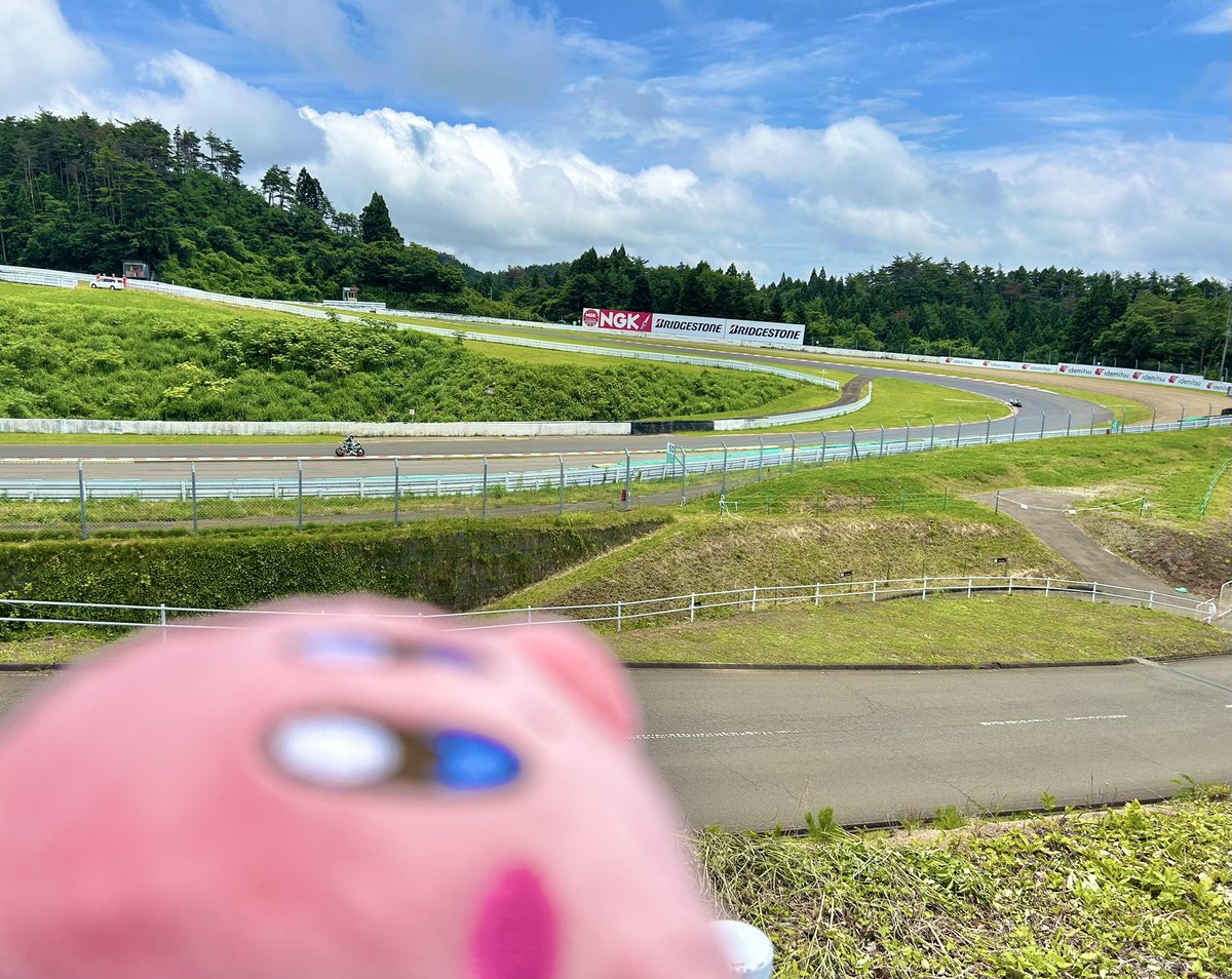 サーキット場でレースを楽しむ カービィちゃん