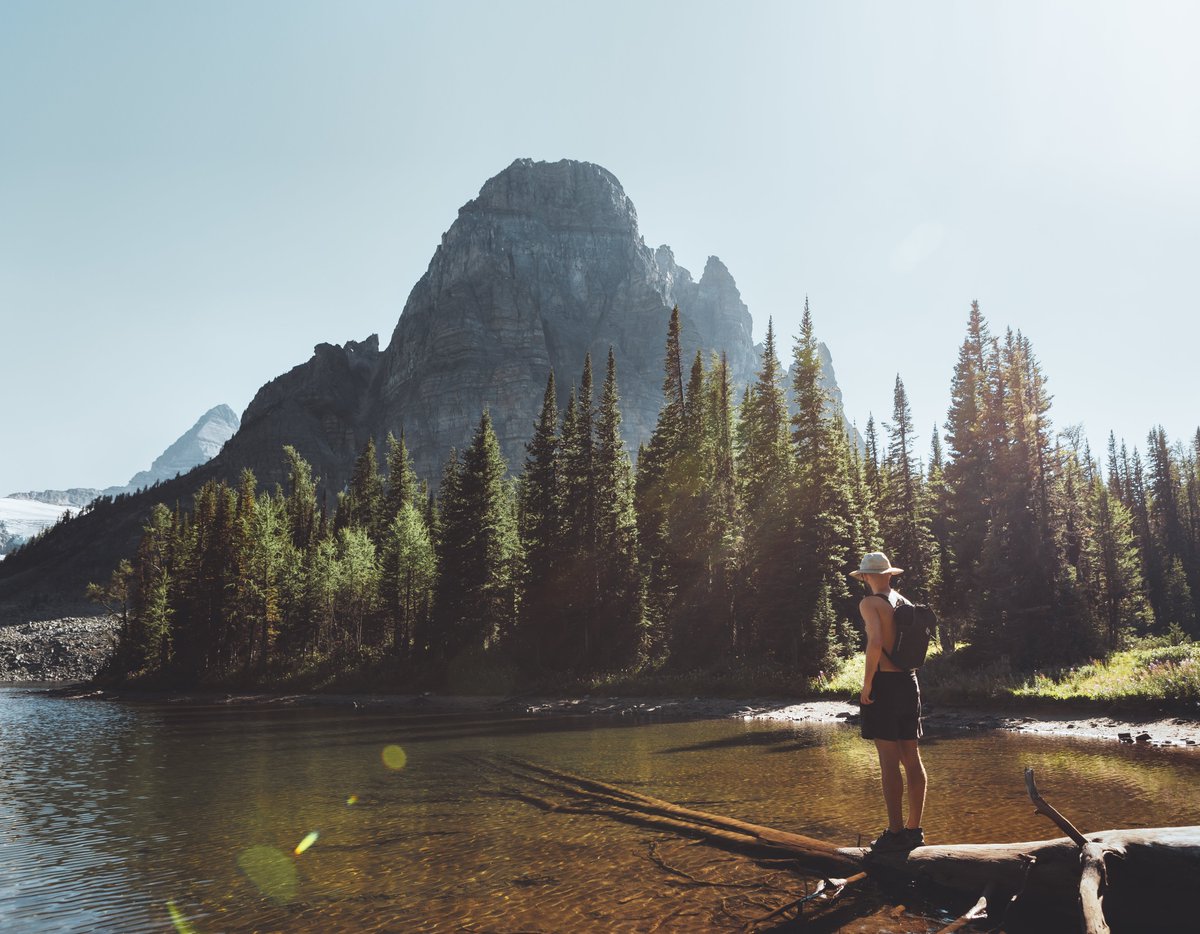 summer in the Rockies ✨