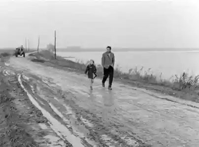 NeilMcGFilm's tweet image. Day 3 of #IlCinemaRitrovato starts with a new restoration of Antonioni’s IL GRIDO (1957) starring #AlidaValli #SteveCochran #filmfestival @cinetecabologna #michelangelantonioni #cinema