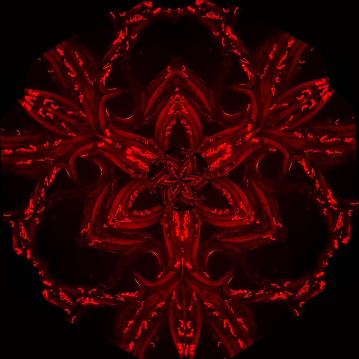 Nisha Kumari tweet media