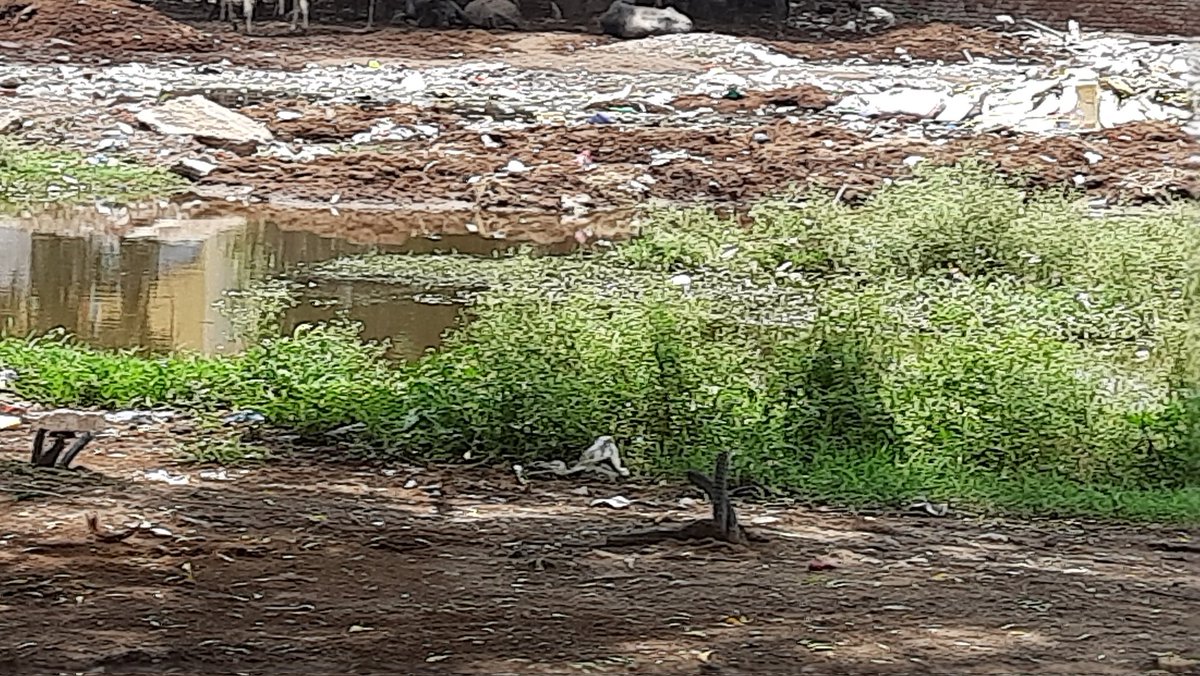 abeeonrun's tweet photo. @noida_authority @CeoNoida @UPPCBLKO @myogiadityanath on the heart of Noida, sec 44, opposite kartik kunj apartment, the plot of park is filled with garbage dump but no action by respected authority, please clear the garbage and area, please help. https://t.co/bjLTPy1UYy