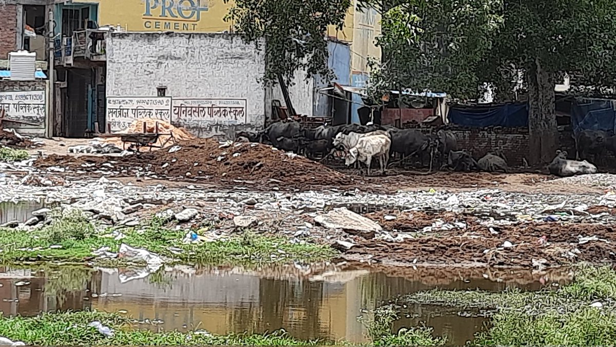 abeeonrun's tweet photo. @noida_authority @CeoNoida @UPPCBLKO @myogiadityanath on the heart of Noida, sec 44, opposite kartik kunj apartment, the plot of park is filled with garbage dump but no action by respected authority, please clear the garbage and area, please help. https://t.co/bjLTPy1UYy