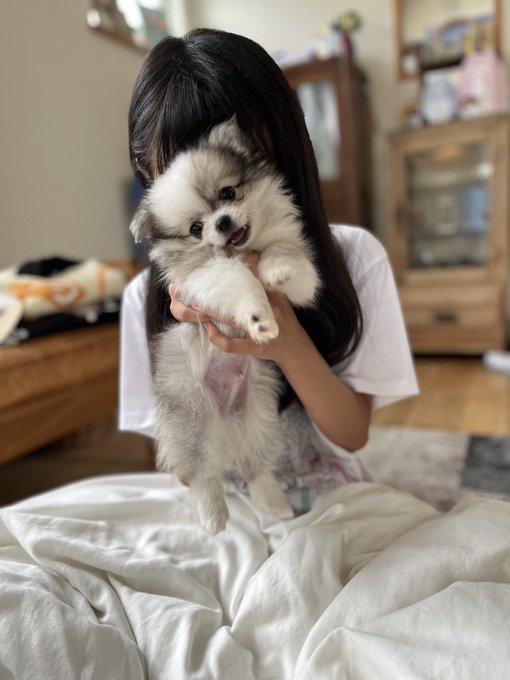 Twitterのコスプレ画像28