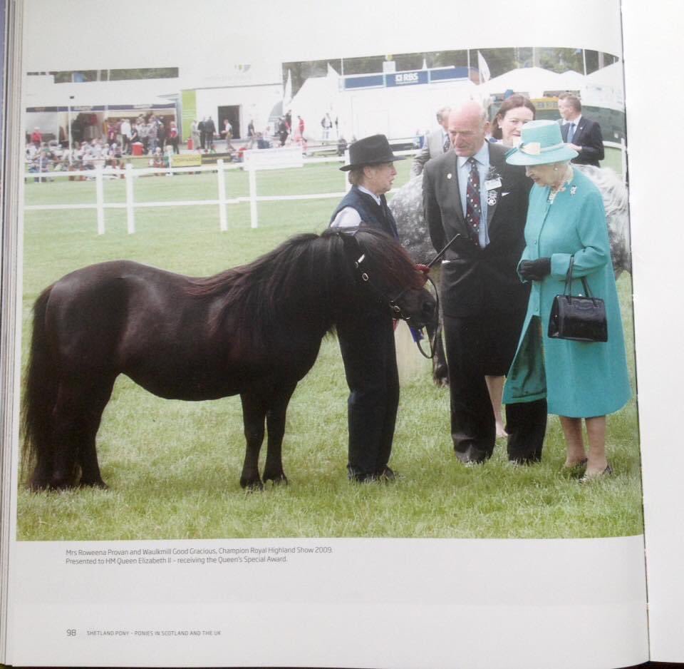 Happy Memories from The #RoyalHighlandShow 🏵🏴󠁧󠁢󠁳󠁣󠁴󠁿
#ponyhour #memorylane #ShetlandPony