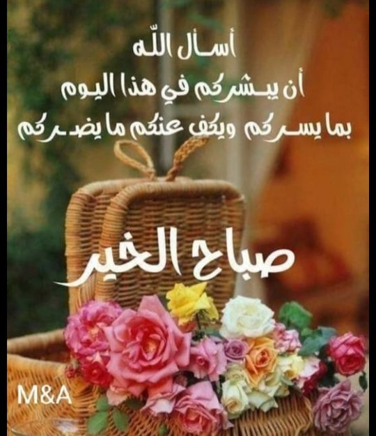 والشمس ضلّت في الشروقِ طريقَهَا
فهوت على شطِّ الغروب
وتأرجحت وسط السماء
ما بين شرقٍ جائرٍ
ما بين غربٍ فاجرٍ
الشمسُ تاهت في السماء
ما عاد فيكِ مدينتي شيءٌ ليمنحنا الضياء