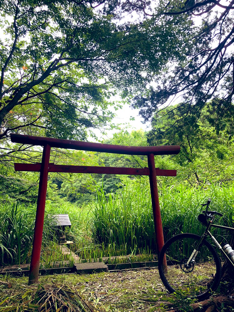 moro2ikiru's tweet photo. 明日からまた雨予報☔️
やることちゃっちゃと終わらせてRock’n Road のお試しがてら、河童伝説を探る。

「お供えドロの河童が草むしりをやらされる」というお話。
#福泉寺の河童 
タイヤはロッケンロールでとても気に入ったが、河童は不在。 
#brucegordon https://t.co/KsTr92Z6JB