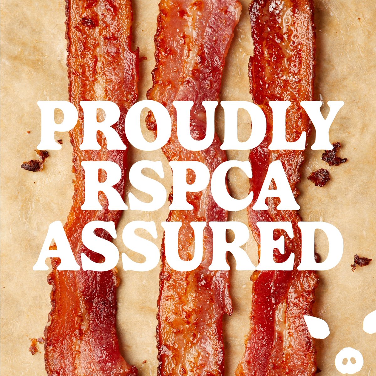 Did you know our sausages & bacon all come from @rspcaassured pork? 🐽 We're proud that our pork comes from higher welfare pigs! Find out more about it here 👇️ thejollyhog.com/impact/welfare/ #bcorp #outdoorbred #bacon