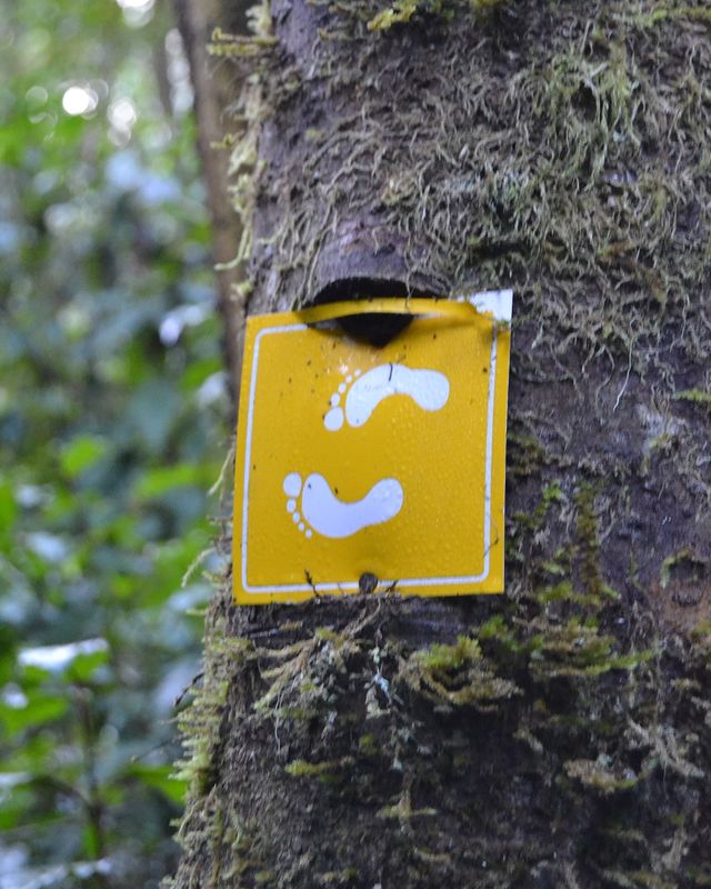 If you're looking for a quick and easy trail to do early morning or late afternoon while staying at Arch Cabins? The Goesa Trail is the perfect option.
Photo by archcabinstsitsikamma
#archcabinstsitsikamma  #tsitsikamma #stormsriver #rediscovertsitsikamma #gardenofthegardenroute