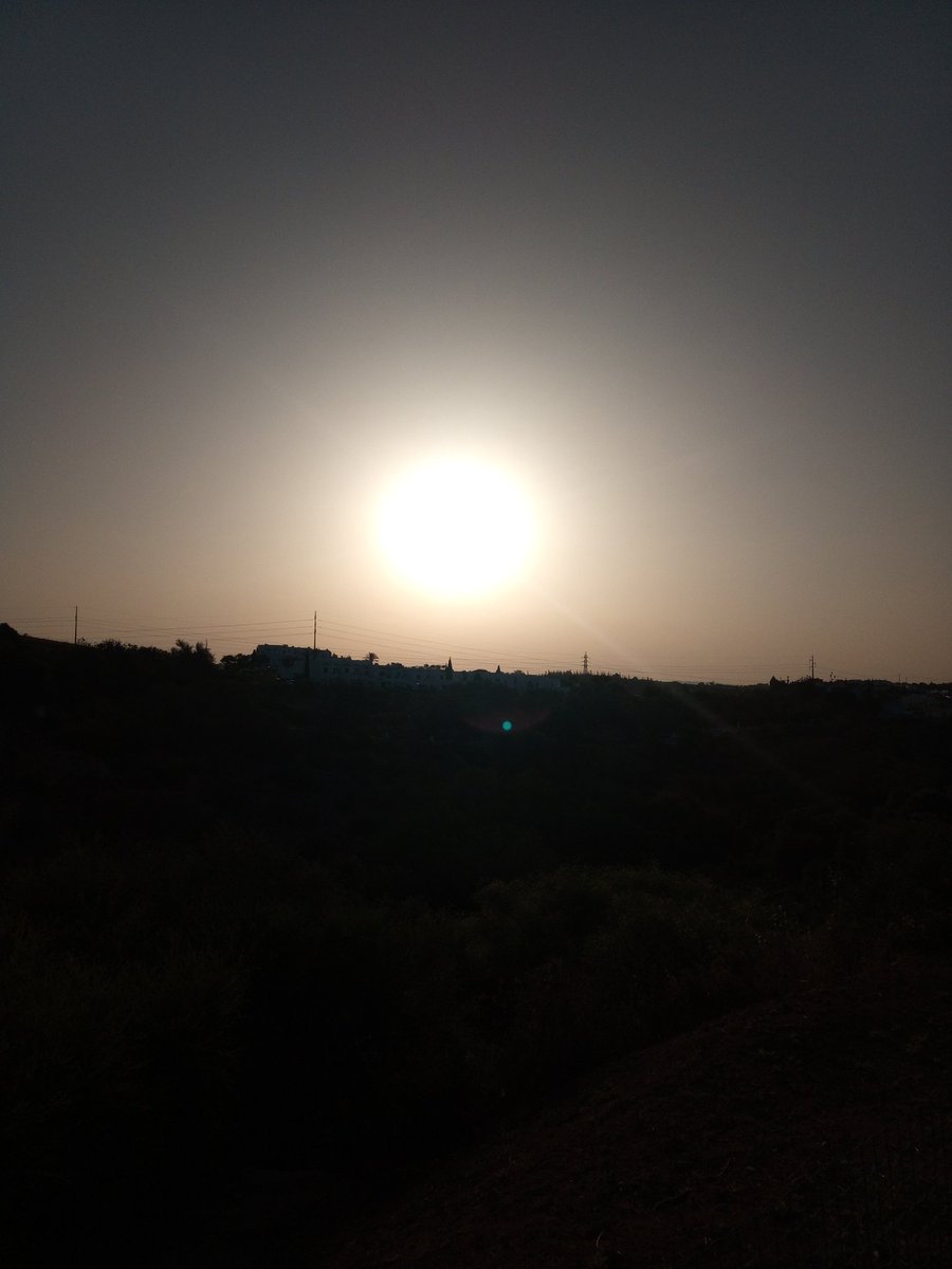 Adam_D_1975's tweet photo. Wake and Shake @Eden_Resort amazing sunrise ☀️ #runningdad #TeamBR https://t.co/18ZkozKgdn