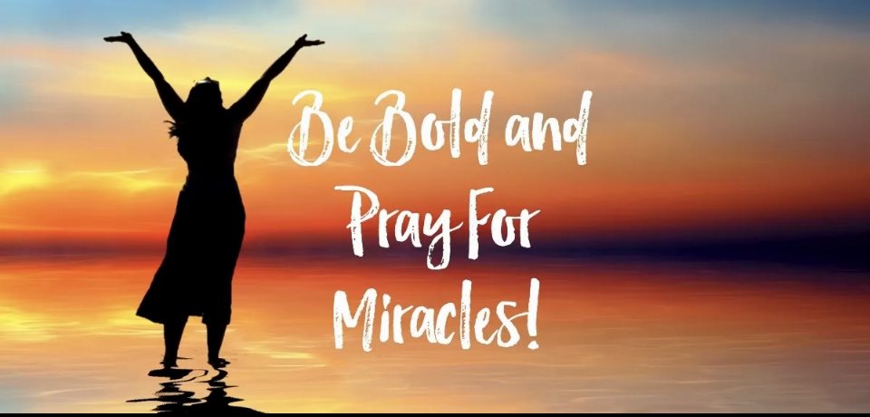 WorkCompLinda's tweet image. #StateFarmFiles ☔️
#Cahoots ☔️
#InsurerWars ☔️🪖🧐

#PlantLinkTrees : LindaAyres.com 🦅