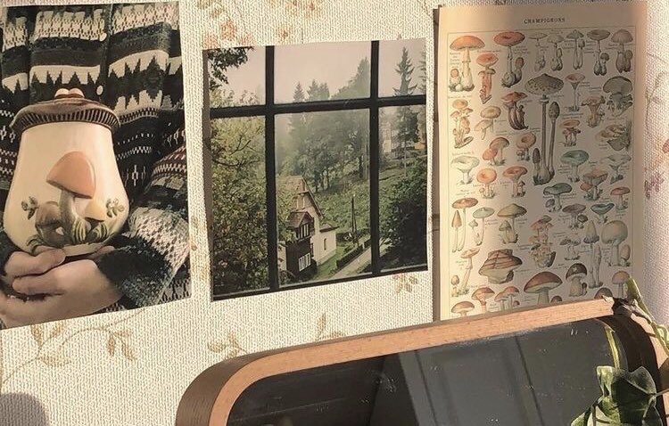 0therealm's tweet photo. 🕊✿*ﾟTIPS BELAJAR ALA AKU + DAPETIN NILAI 80AN📚 *ﾟ ✿ 🕊!

;- thread by @naystvr https://t.co/XBjtNti36K