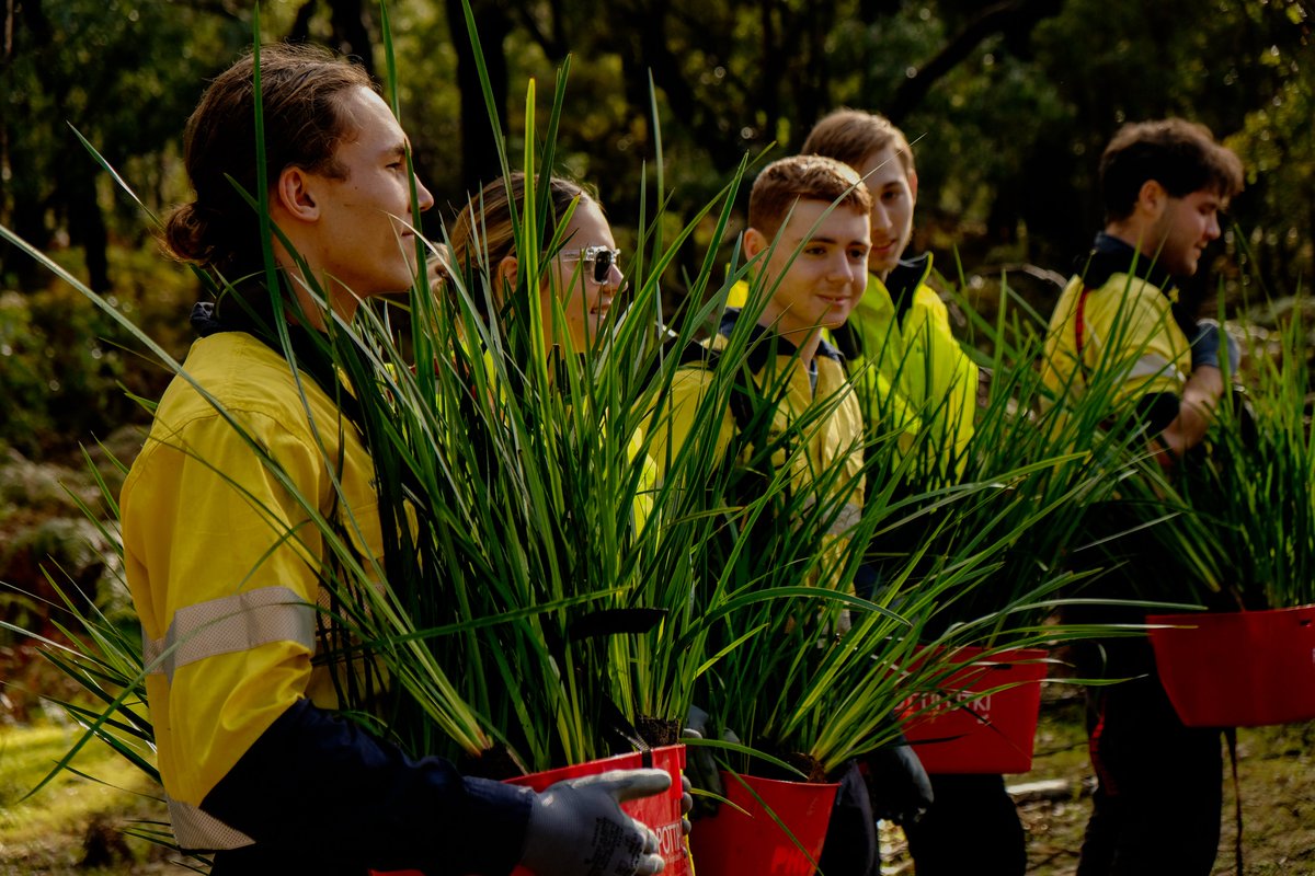 Jesse Rowley tweet media