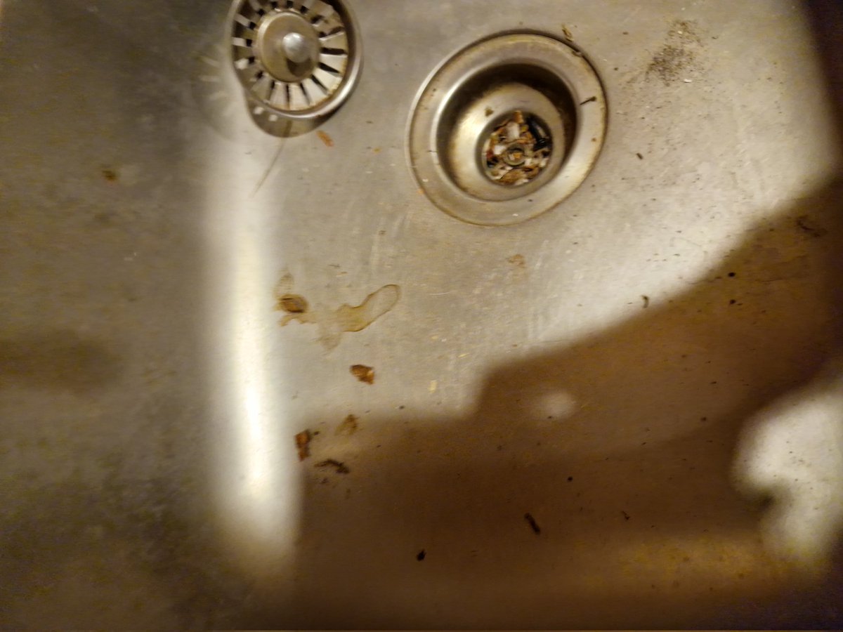 DanielMoyse4's tweet photo. @bookingcom I am annoyed and appalled at the lack of response I've had from your company! I've tried for a week to contact you for a refund for a property I checked in and out of due to the place being absolutely disgusting! I've used your service for over 7 years! https://t.co/RoEtMauTBU