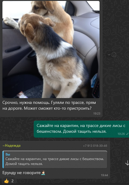 tolkate's tweet photo. В восторге от зооспасалок. Тащить домой животных с непонятным анамнезом без карантина. Я, конечно, знала, что мозга нет. Бешенство у нас в регионе есть, это не пугалка, а нормальная предосторожность. https://t.co/7KemxdpOrx