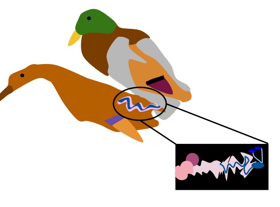I just found out that ducks have antirape vaginas.  They spiral the opposite direction of the male dick.
