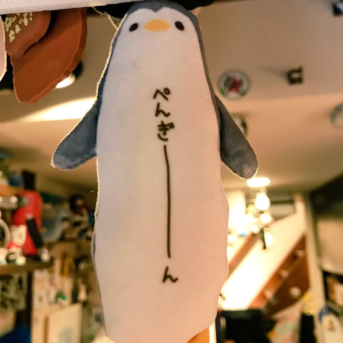 本日も🐧