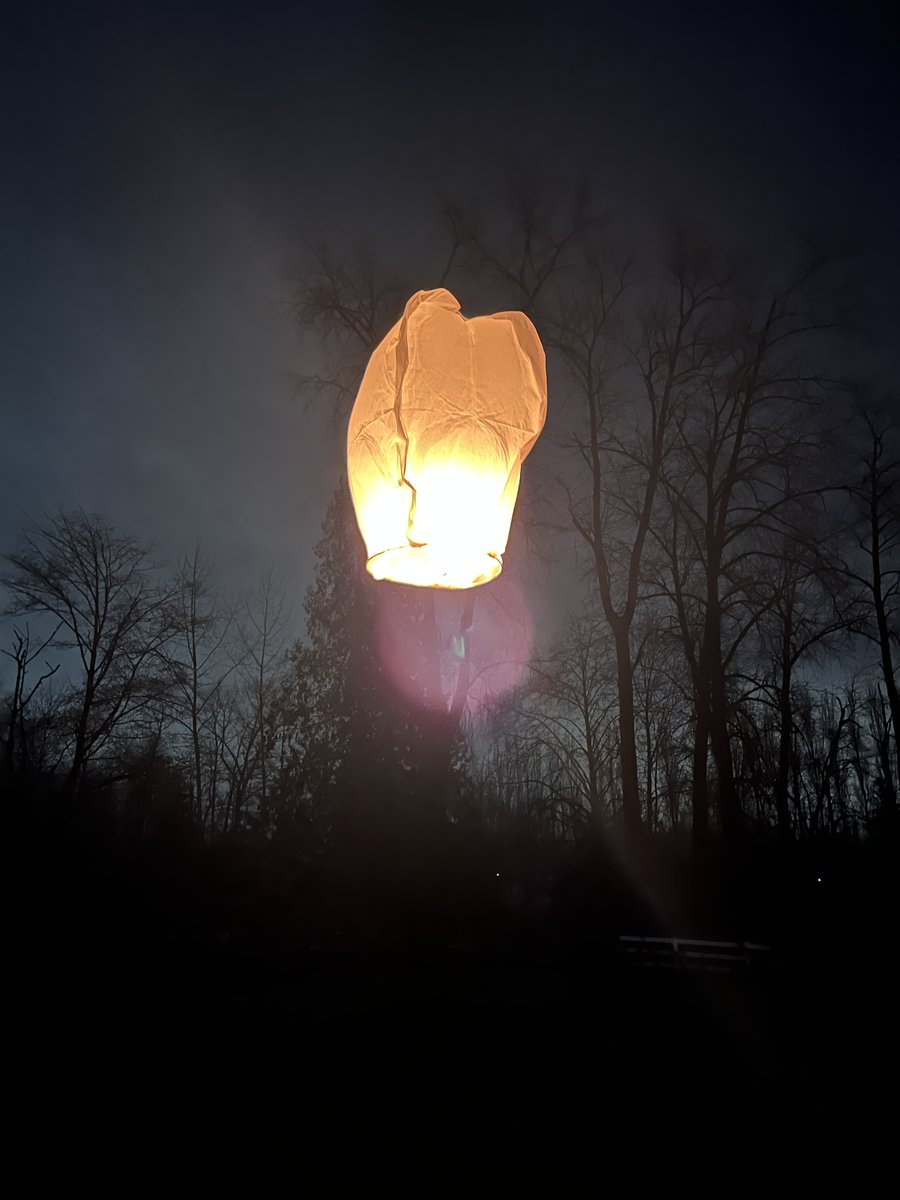 UFO Guy tweet media