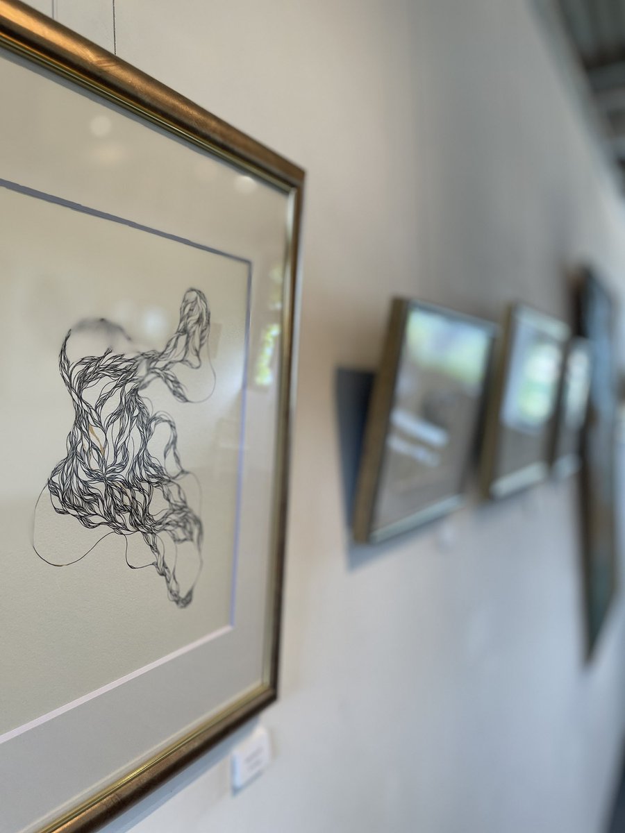 MARUTE GALLERY での個展、本日よりスタートです！
