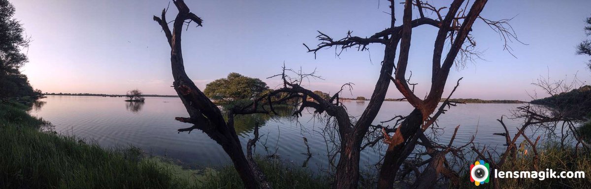 np_photographer's tweet photo. Thol Lake https://t.co/BxGhhNSkDT Bird sanctuary Gujarat #thollake #tholbirdsanctuary #artificiallakeGujarat #thollakearea #thollakefloraandfauna #birdsanctuarygujarat #birdsofthollake #migratorybirdsthollake #flamingosatthollake https://t.co/FWKsyK3EI4