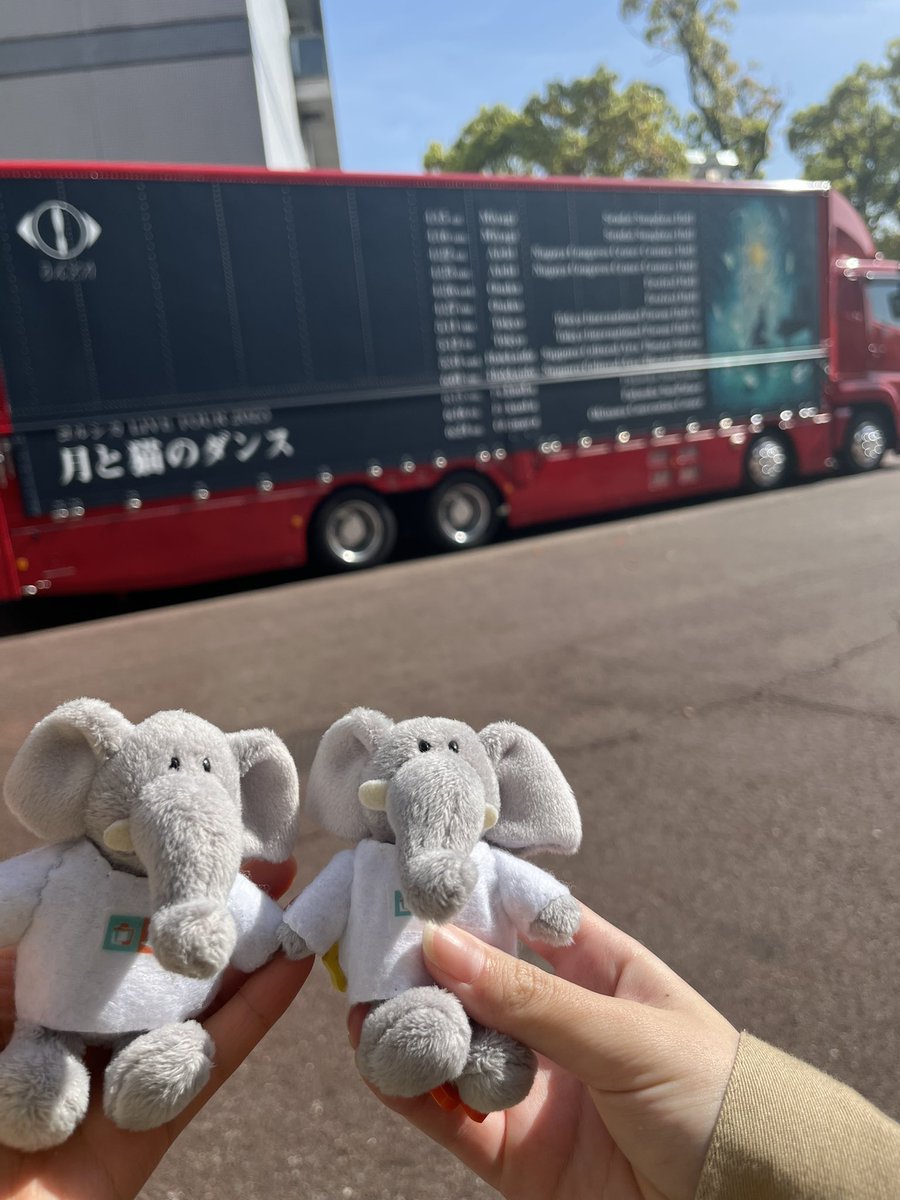 gotohanataba's tweet photo. 個体のパオぞうと旅した月猫ツアーでした🌙🐈‍⬛ https://t.co/n0OFxe8Llv