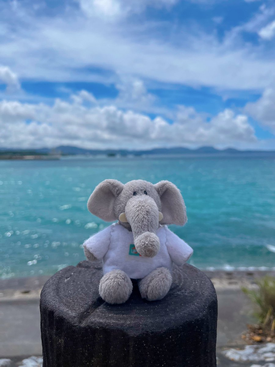 gotohanataba's tweet photo. 個体のパオぞうと旅した月猫ツアーでした🌙🐈‍⬛ https://t.co/n0OFxe8Llv
