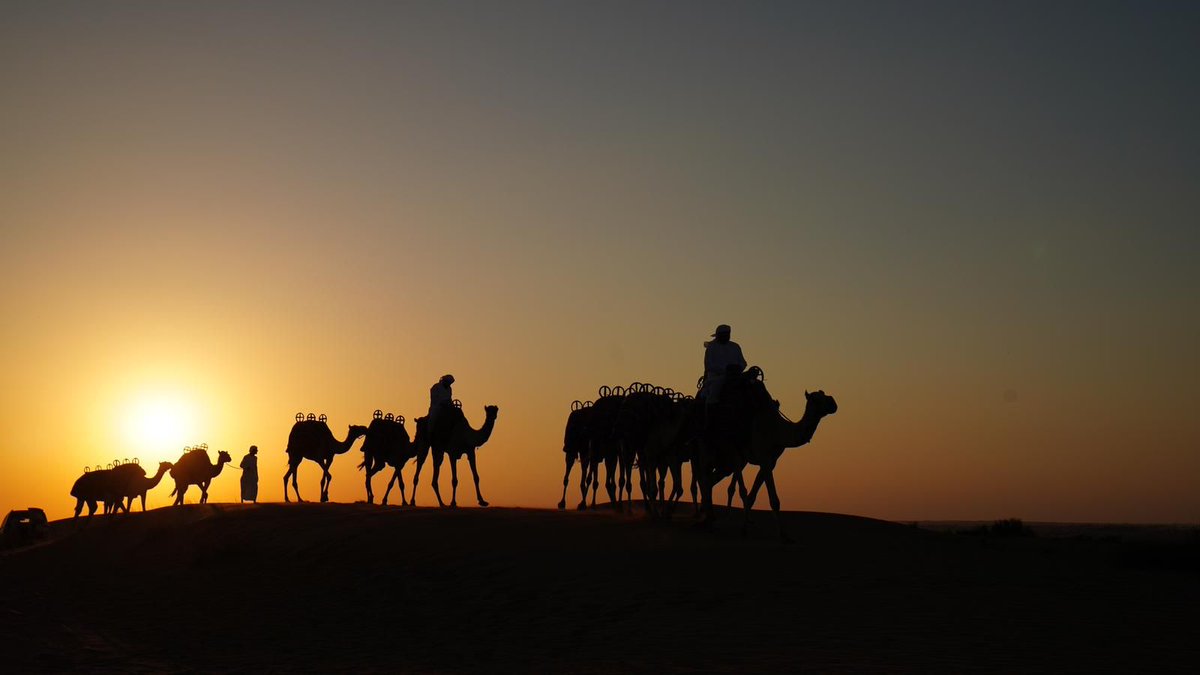 FineTravelNZ's tweet photo. Fine Travel's Founder was recently invited by Emirates to experience the A380 (Business Class and Economy) and spend three days exploring the hotels and activities available during a stopover in Dubai.  Learn more about his experience: https://t.co/plM1CnVUTR https://t.co/aC2duGtOv2