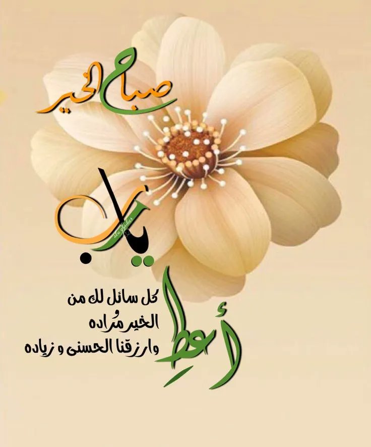 ♊𝕼𝖆𝖘𝖊𝖒♊كَاتِبُ الْأمَل و الحُب♊ tweet media