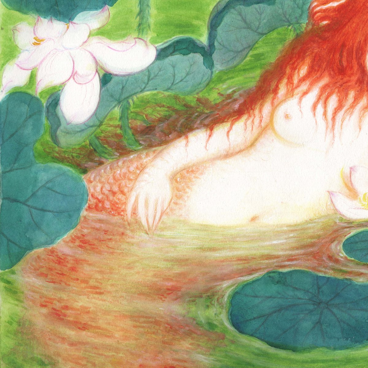 Yui_mera's tweet photo. 金鱼
Goldfish https://t.co/o8WHR0B6rc