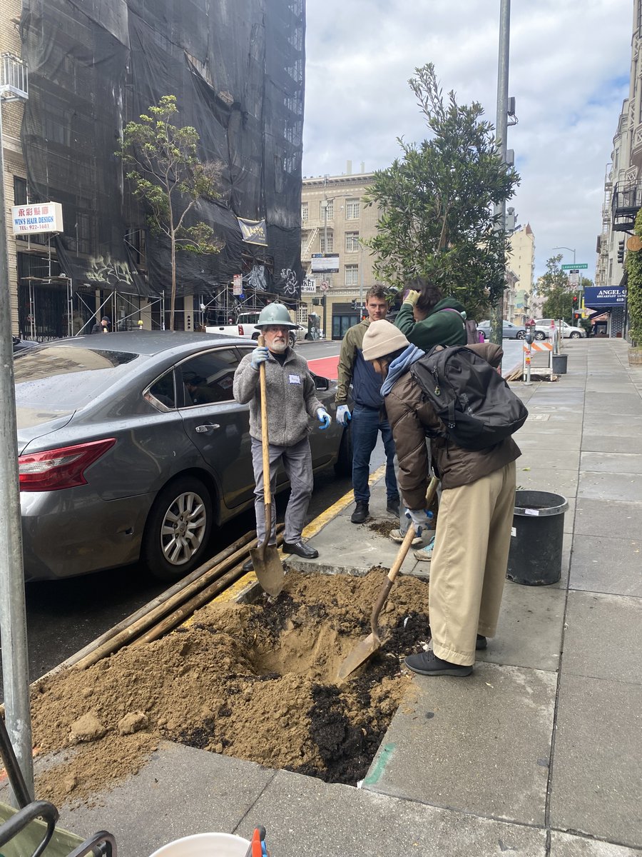 Hi neighbors! Thank you for volunteering with Friends of the Urban Forest and us to beautify our neighborhood with new trees! 🌳 A special shoutout to @AaronPeskin and Chief of Staff, Sunny for rolling up their sleeves in the community.