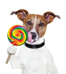 KenonMott's tweet photo. Girlfriend give me a dum dum 🍭 sucker for everytime I give good dick. This bitch is trying to Pavlov dog me. Oh well woof woof 🐶. https://t.co/JR0PeFwUFT