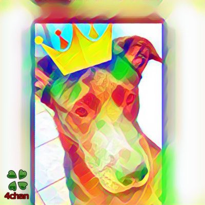 jaxda1nonly's tweet photo. π₯π₯π₯π₯π₯π₯ thank you #4chan #4theppl #Crypto @MrJuancarlos_ https://t.co/vKIakXfSA3