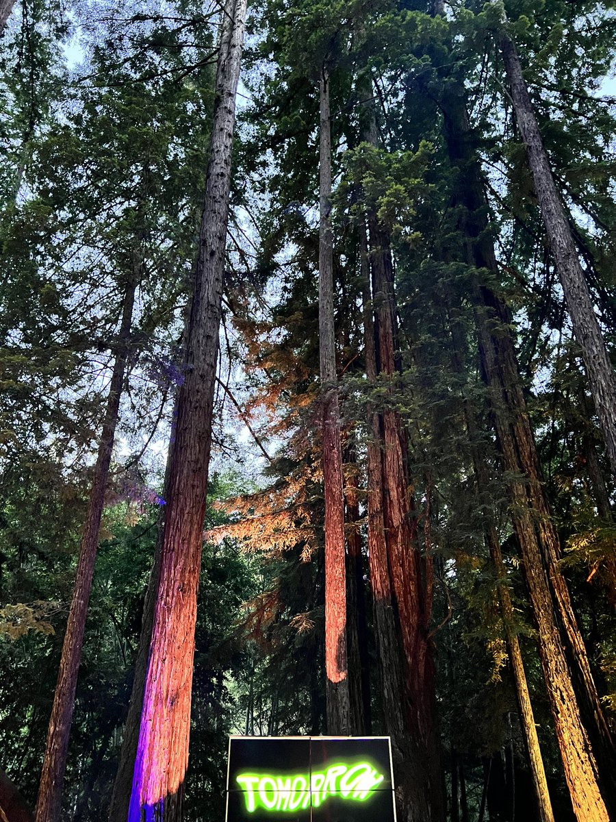 kelaninichole (@kelaninichole) on Twitter photo Tomorrow is only a day away 🌲⛺️❣️humbled and inspired by a transformative week spent in the redwoods among giants at <a href="/GETDWeb/">DWeb → ⁂ @dweb@social.coop</a> Tomorrow is only a day away 🌲⛺️❣️humbled and inspired by a transformative week spent in the redwoods among giants at <a href="/GETDWeb/">DWeb → ⁂ @dweb@social.coop</a>